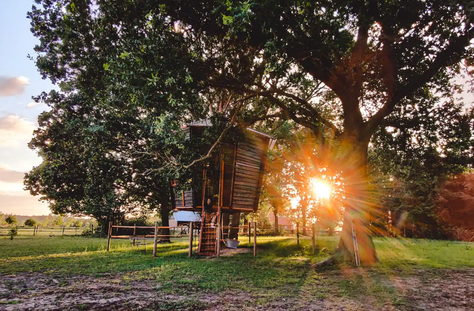 boho boomhut